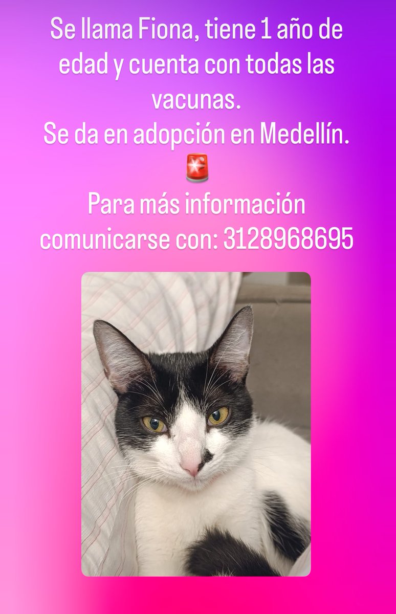 🧜‍♀️ tweet media