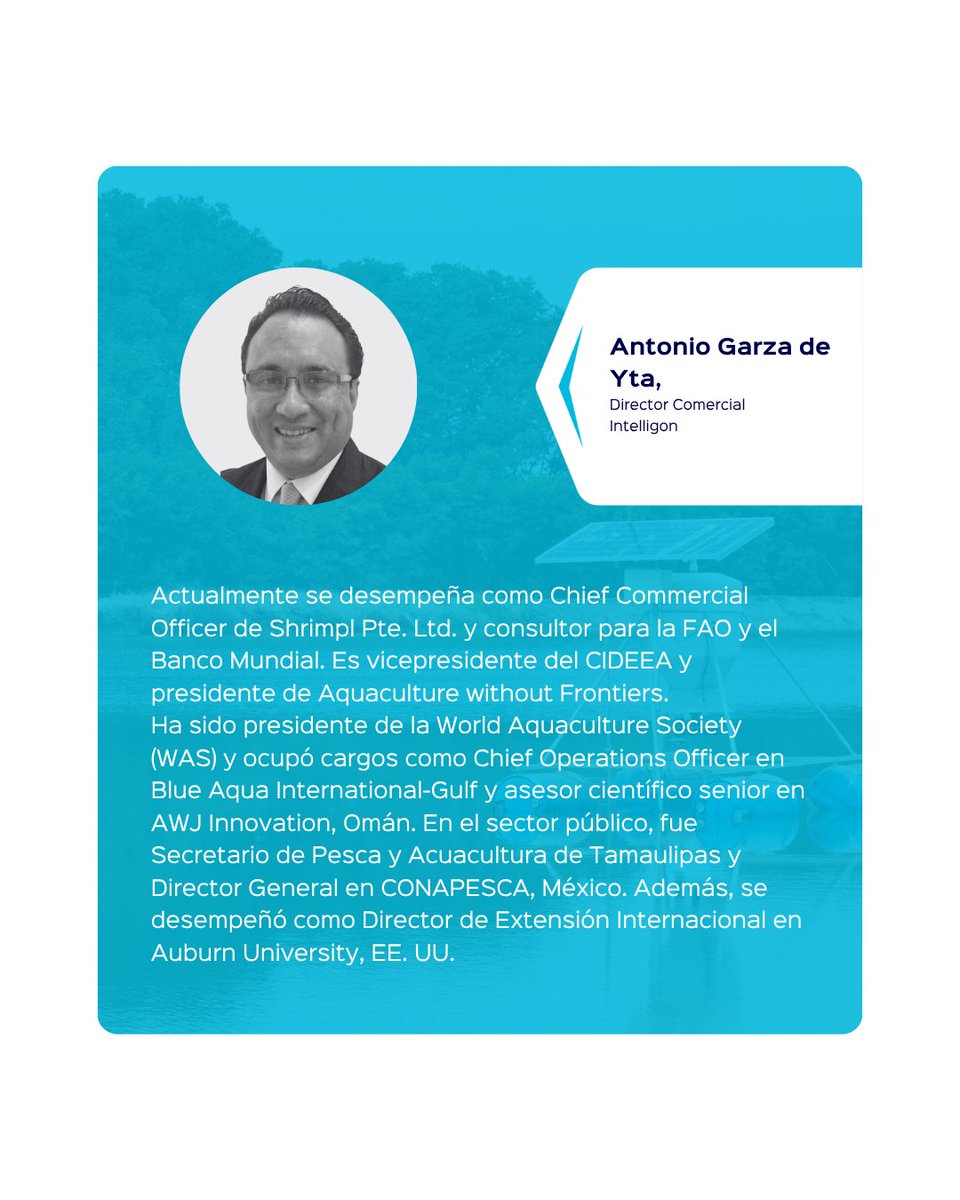 SustainableShrimp tweet media