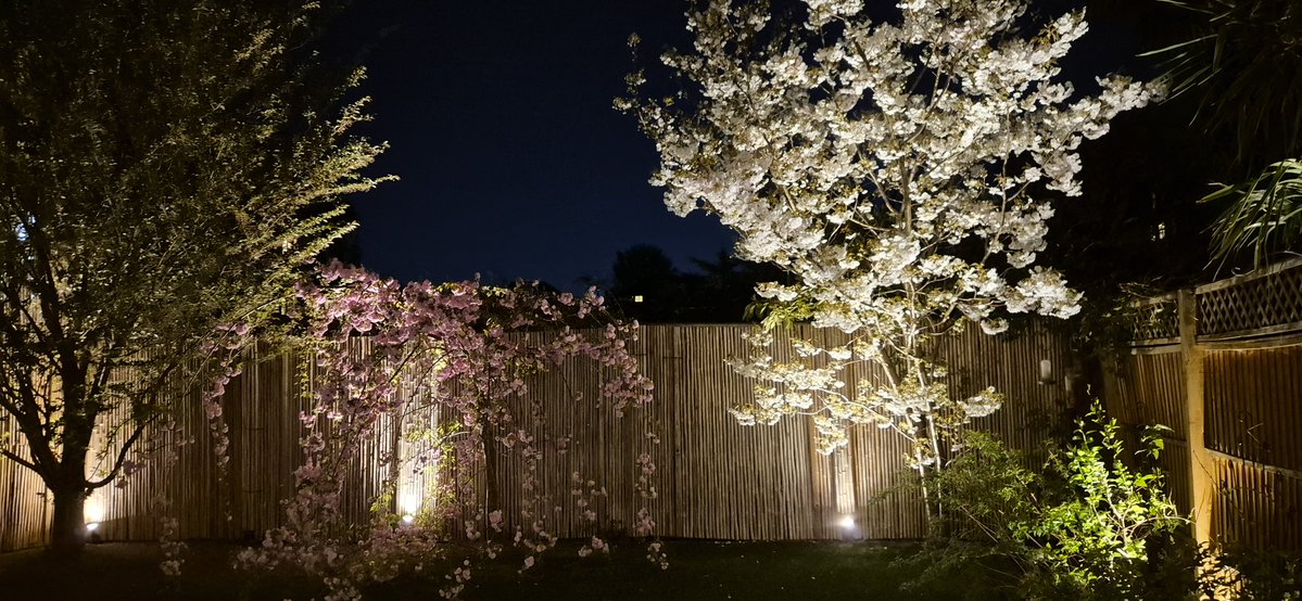 Cailey Barker tweet media