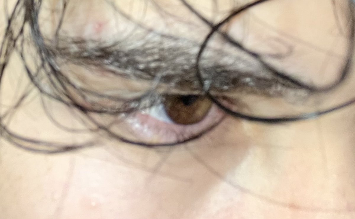 Arda🪽 tweet media