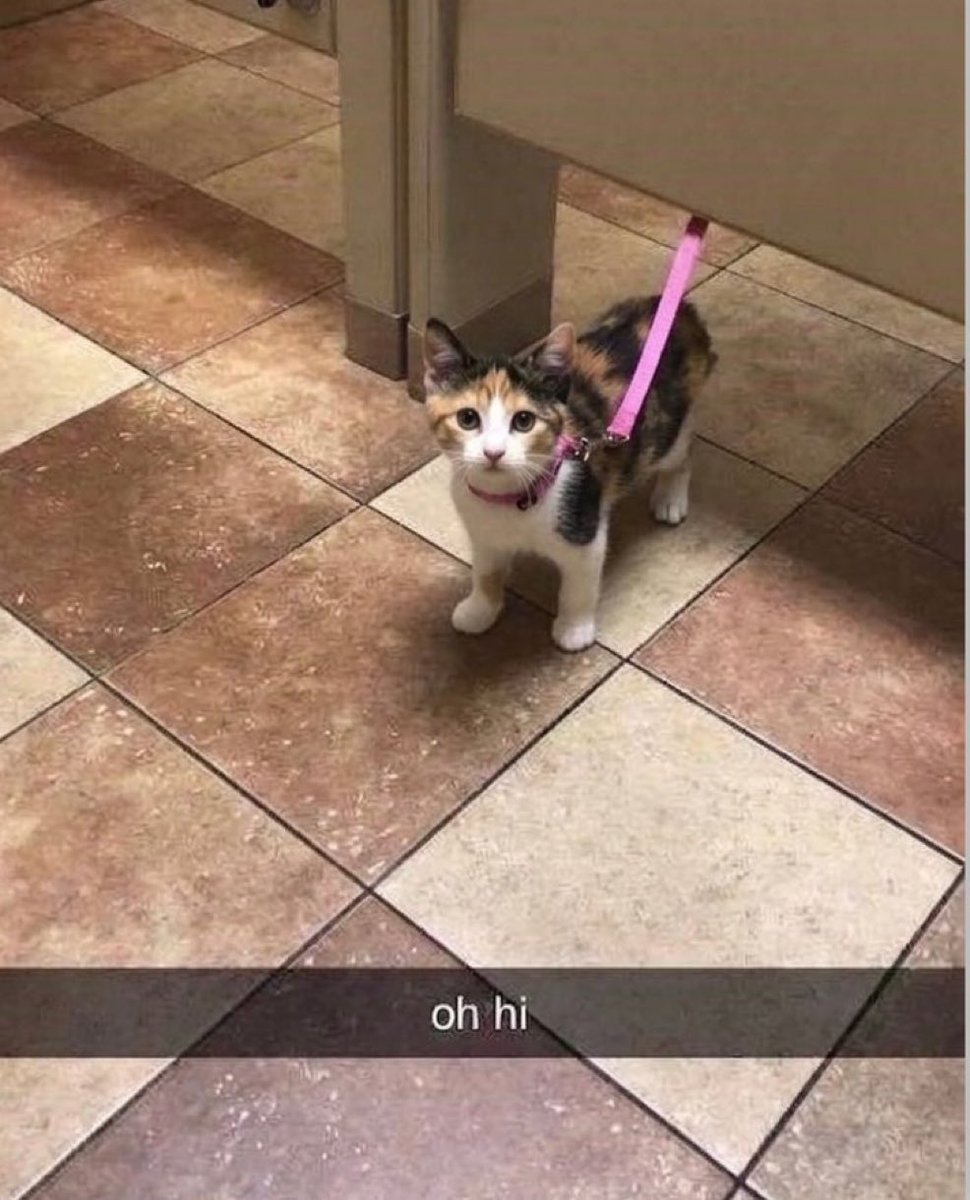 Zula 📦 tweet media