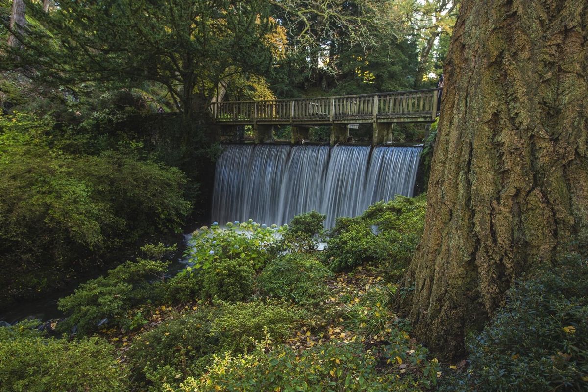 only aesthetic tweet media