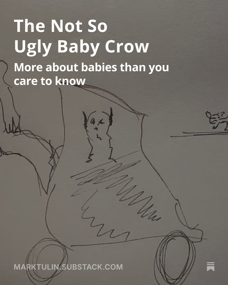 Mark Tulin tweet media