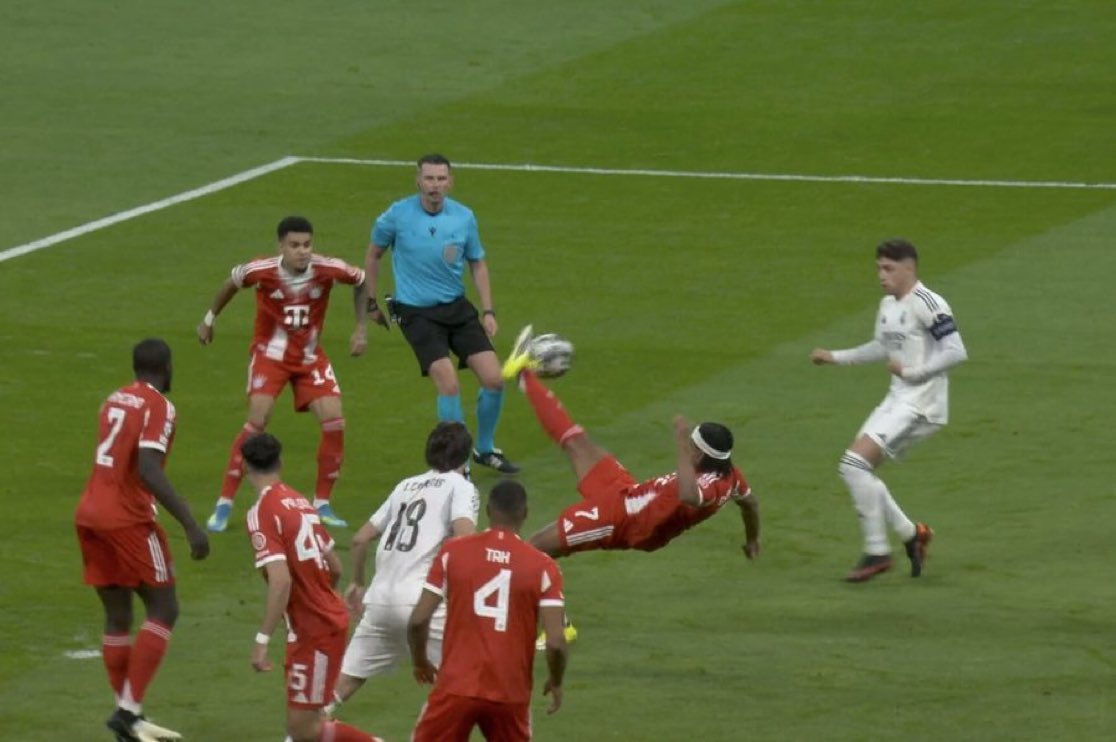 SarkCess BYK tweet media