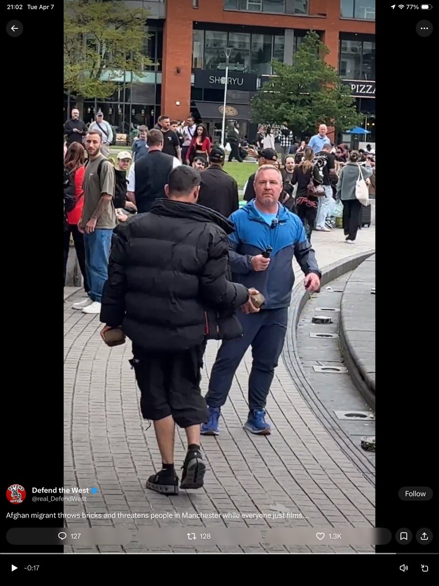 Black Cat tweet media