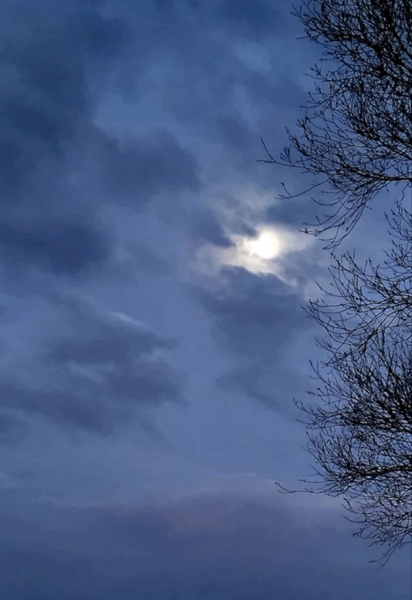 Grzesiek 🇵🇱 tweet media