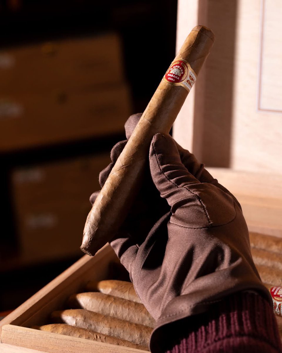 CIGAR AFICIONADO HUB tweet media