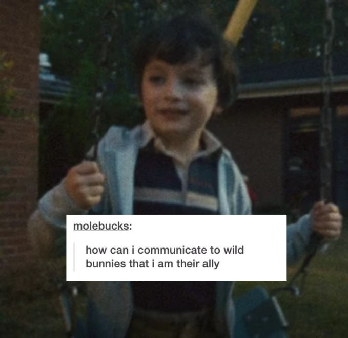 annie 🫀 tweet media