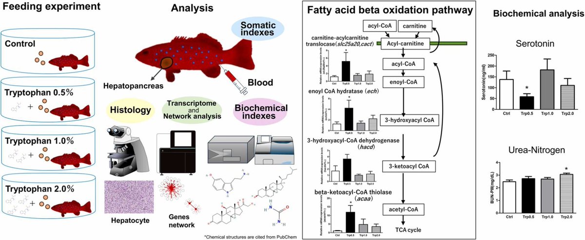 Recently Published in Computational and Structural Biotechnology Reports: 

Dietary tryptophan’s effect on lipid metabolism in the leopard coral grouper Plectropomus leopardus

📄: spj.science.org/doi/10.1016/j.…