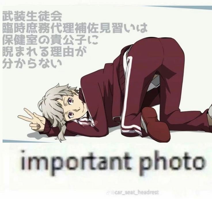 ♡𝔛𝔶𝔩𝔩𝔞 𝔬𝔣 420𝔱𝔴𝔱☆ tweet media