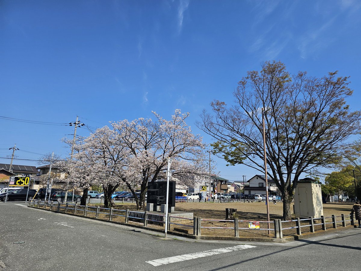 日本株の黒木剛 tweet media