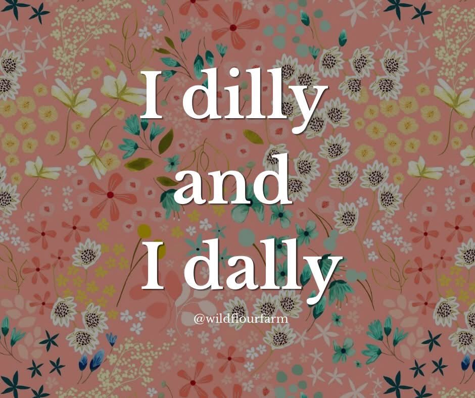 Drops of Jupiter tweet media