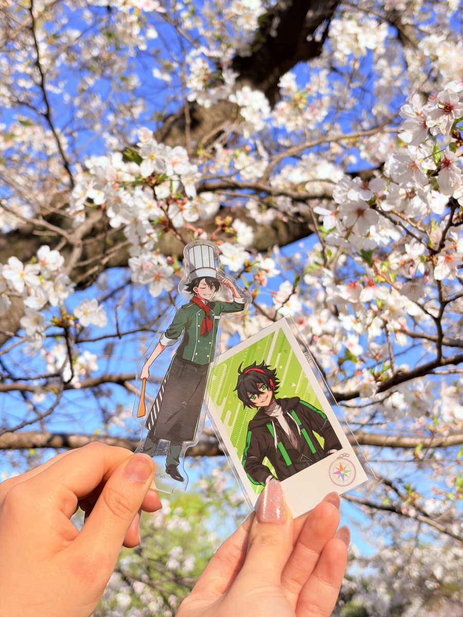 manyonnyon03's tweet photo. 当たり前のように祭壇はないので最近撮った写真でも載せてお祝いします🌸💚 https://t.co/TZAHaoUk14