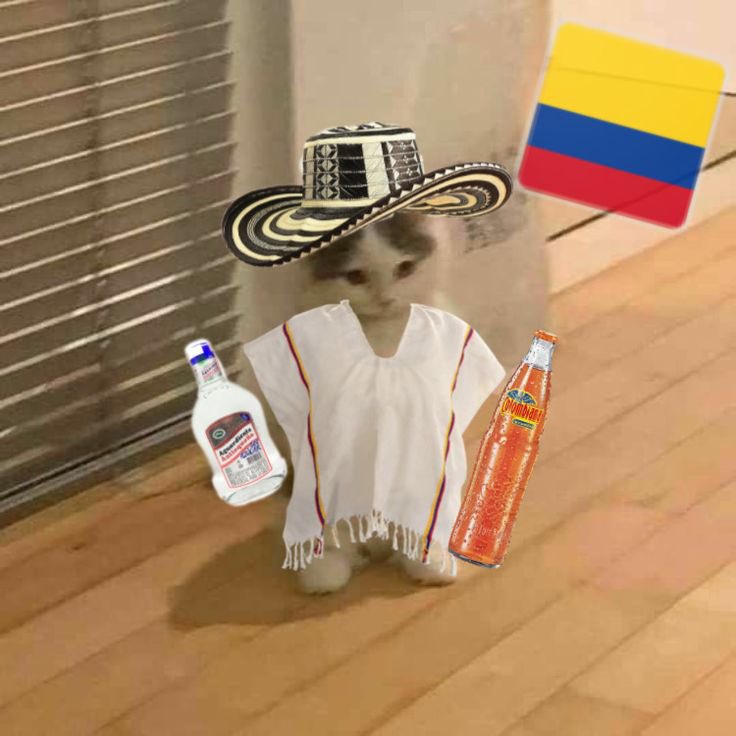 ⋆Melissa⁷⋆ 🇨🇴 ⦿⊝⊜ VA A VER A BTS tweet media