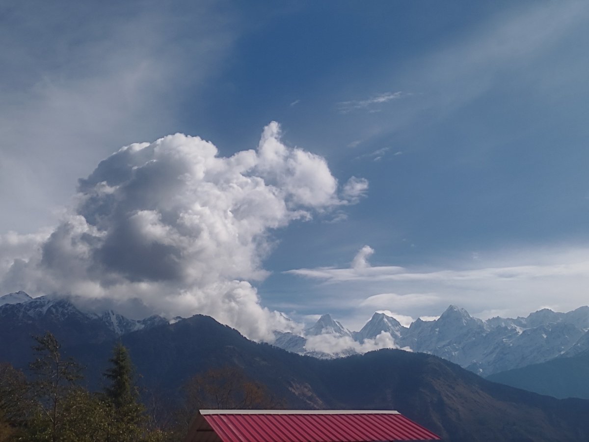 Prajjwal tweet media