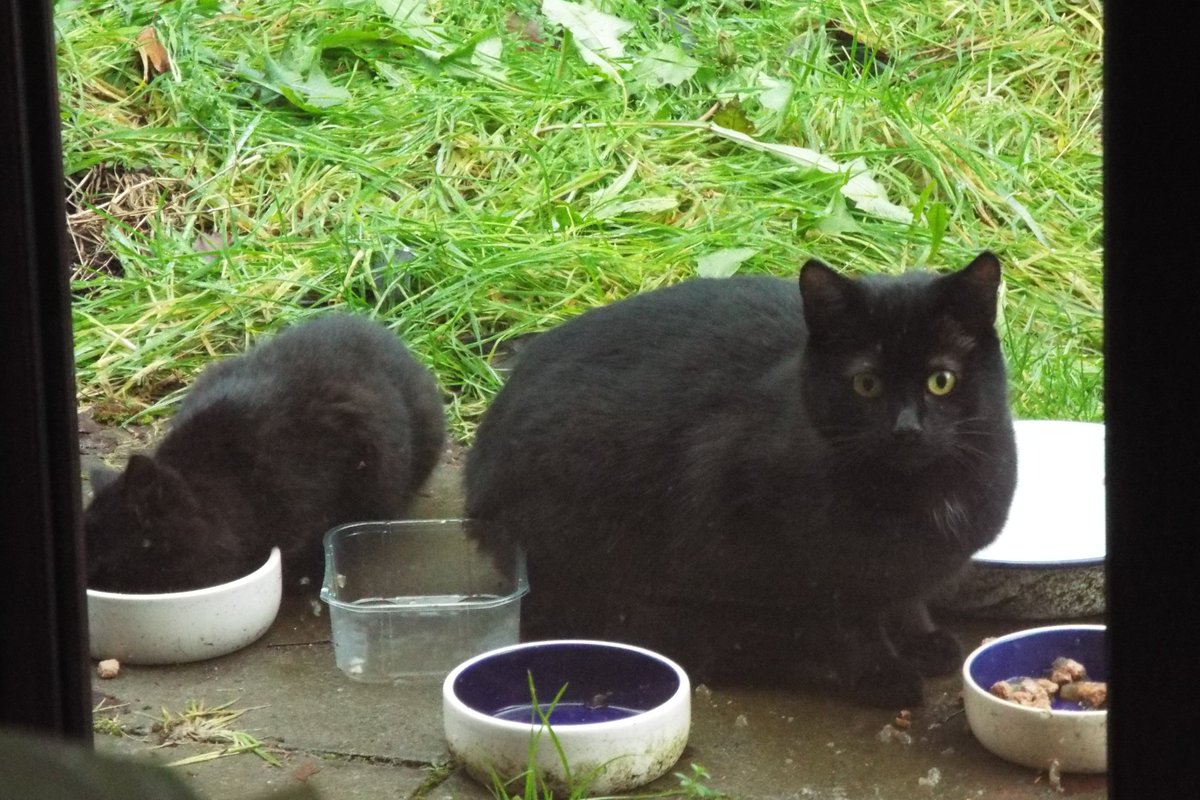 The Log Wifie tweet media