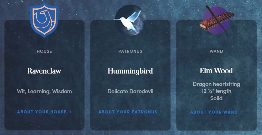 ECHO 🪐 tweet media