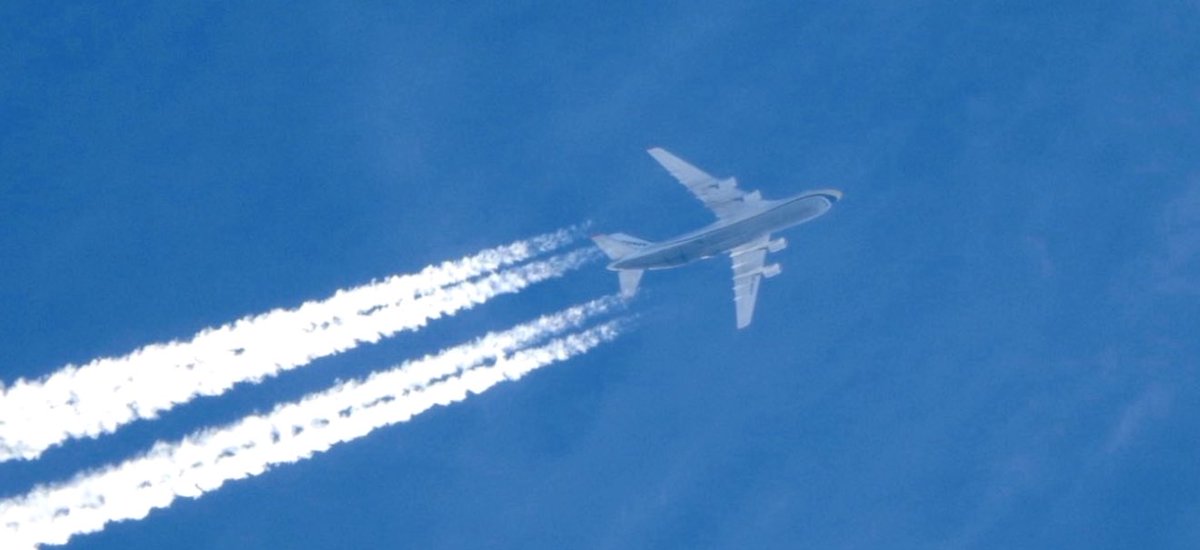 SLCScanner tweet media