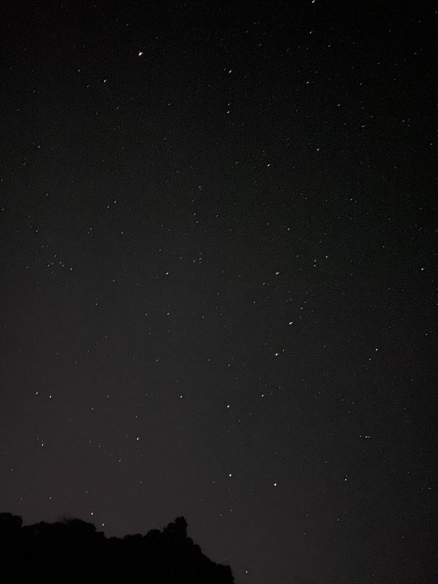 明日は我が身@26卒 tweet media