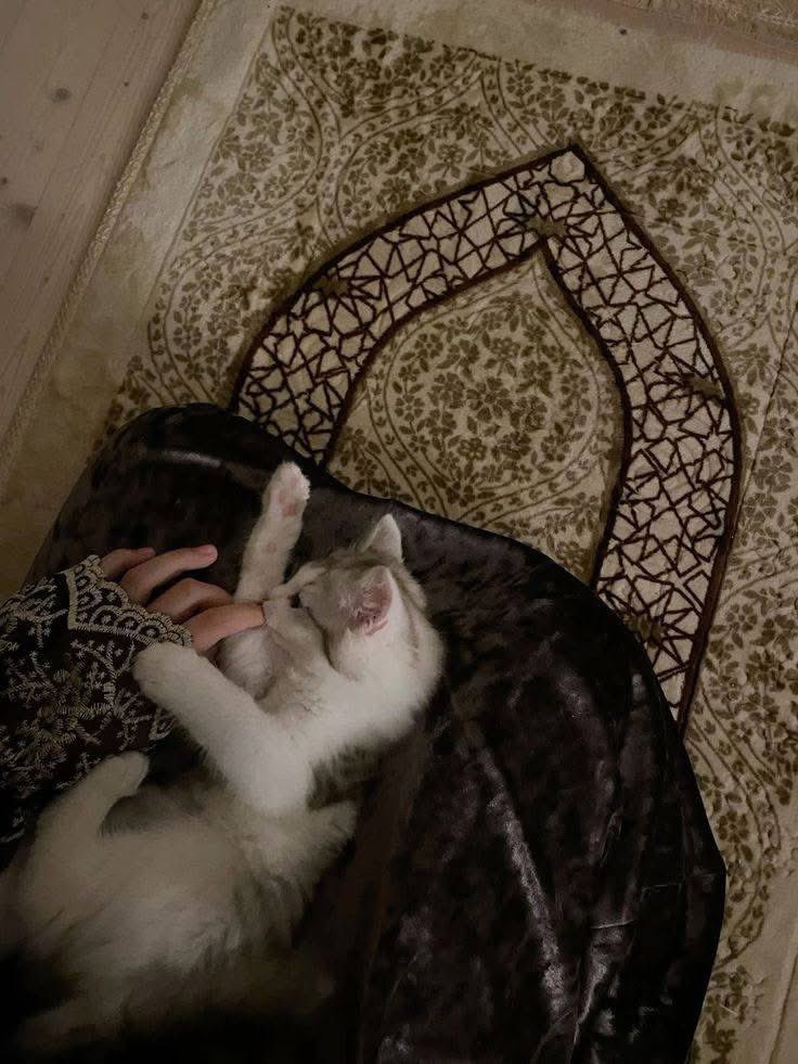 𝓰𝓮𝓱𝓪𝓭 🦋 tweet media