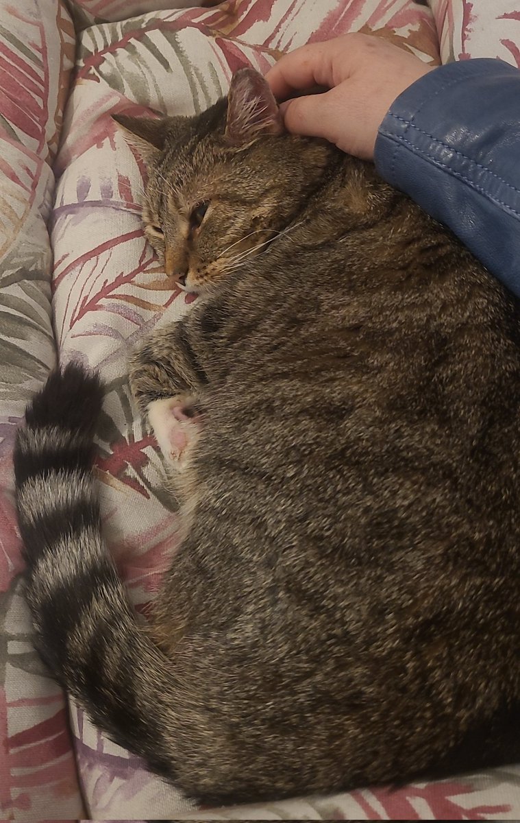 Frau_Em aka Günni tweet media