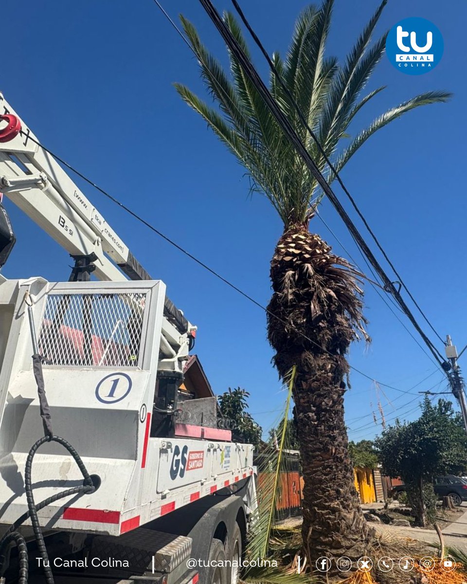 Tu Canal Colina tweet media