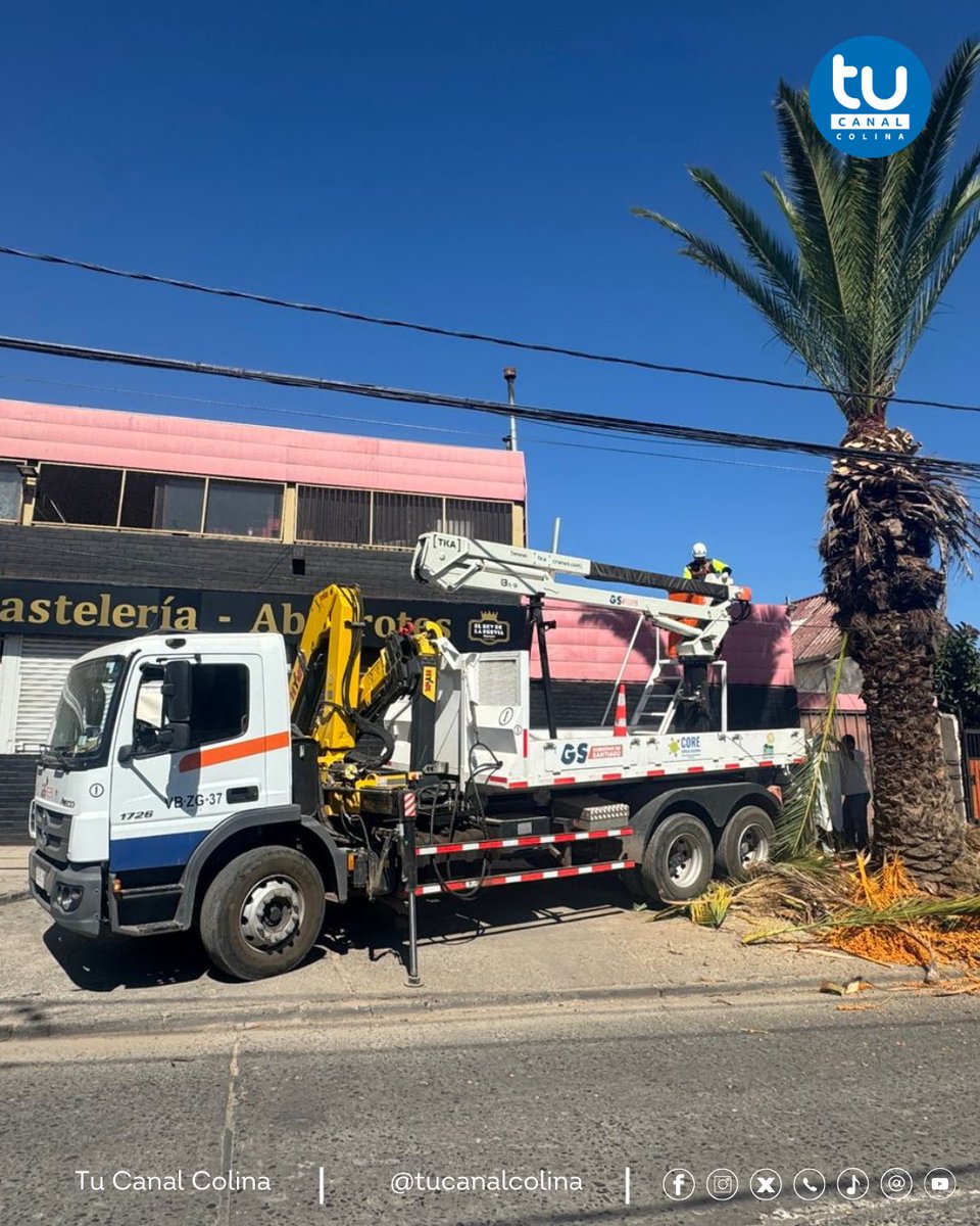 Tu Canal Colina tweet media