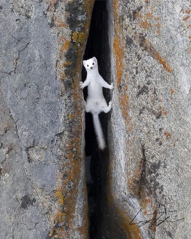 Intresting nature 🌿🪐 tweet media