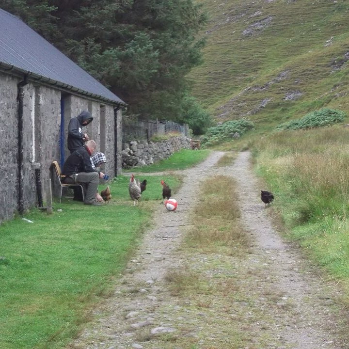 Vinnie Sullivan tweet media