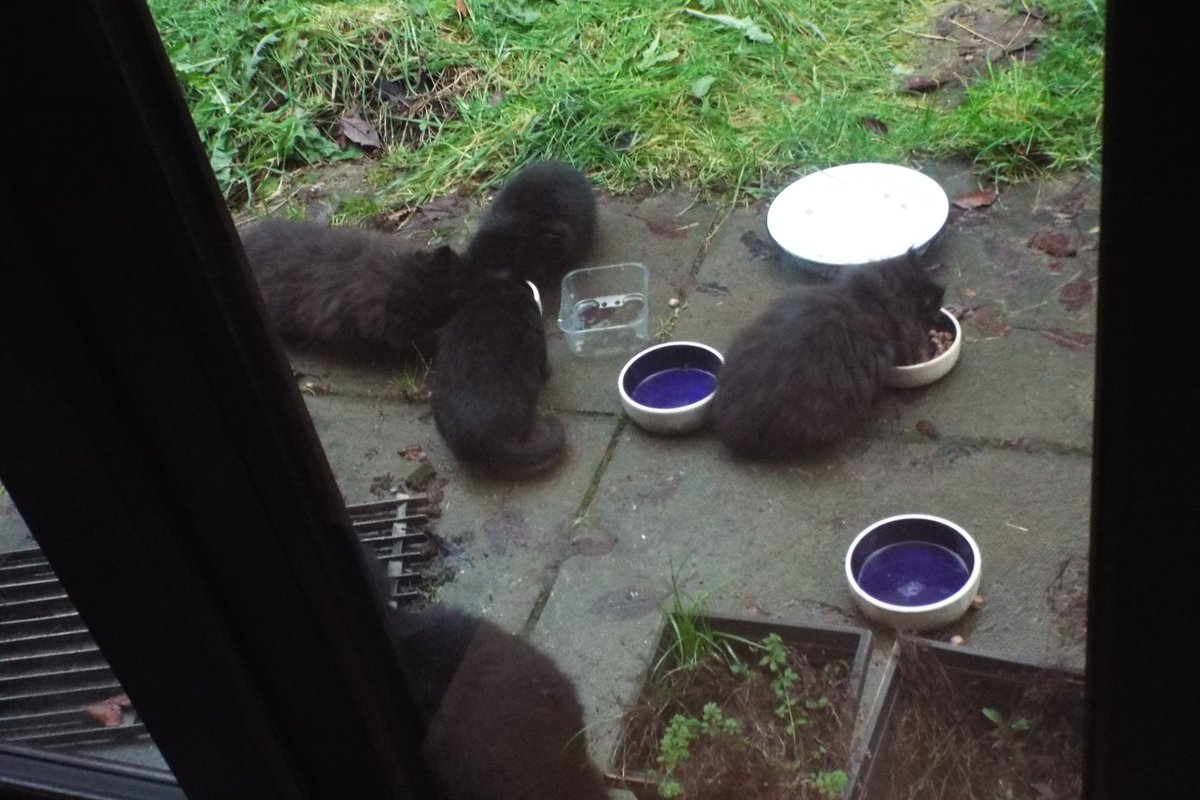 The Log Wifie tweet media