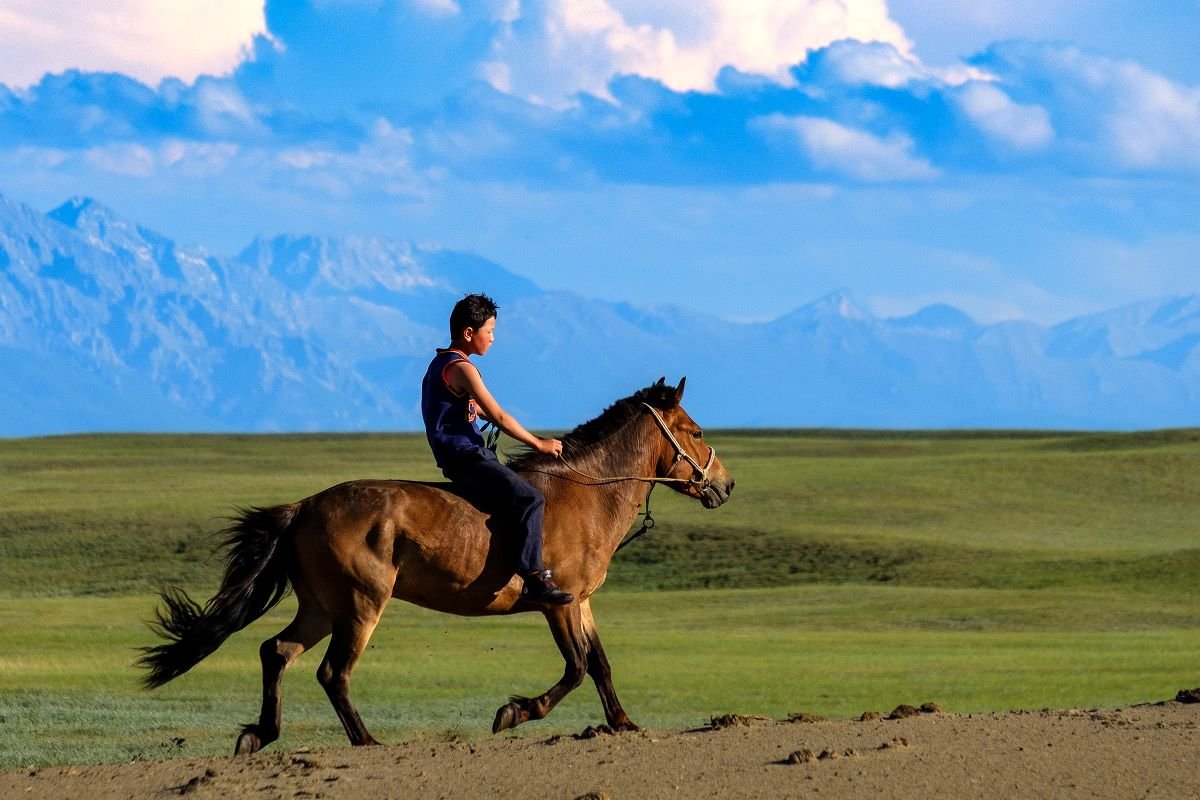 TsDulguun's tweet image. Since the earliest days of humankind, the horse has walked beside us—not behind us.
It has carried our bodies, our hopes, our messages, and our dreams across distances too vast for human feet alone. Empires rose and fell on horseback. Trade followed hoofprints... #nextbook #soon