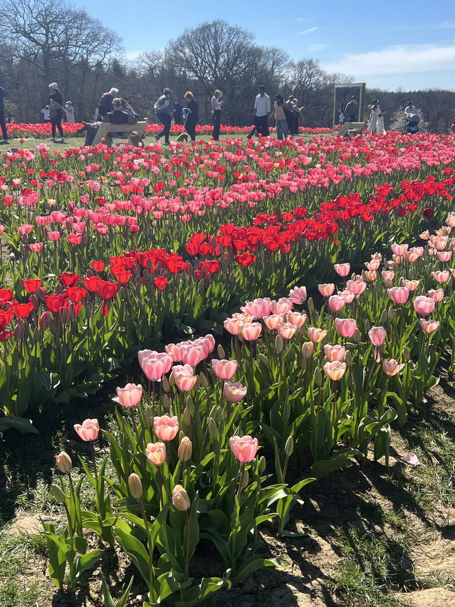 Jean Haines SWA tweet media