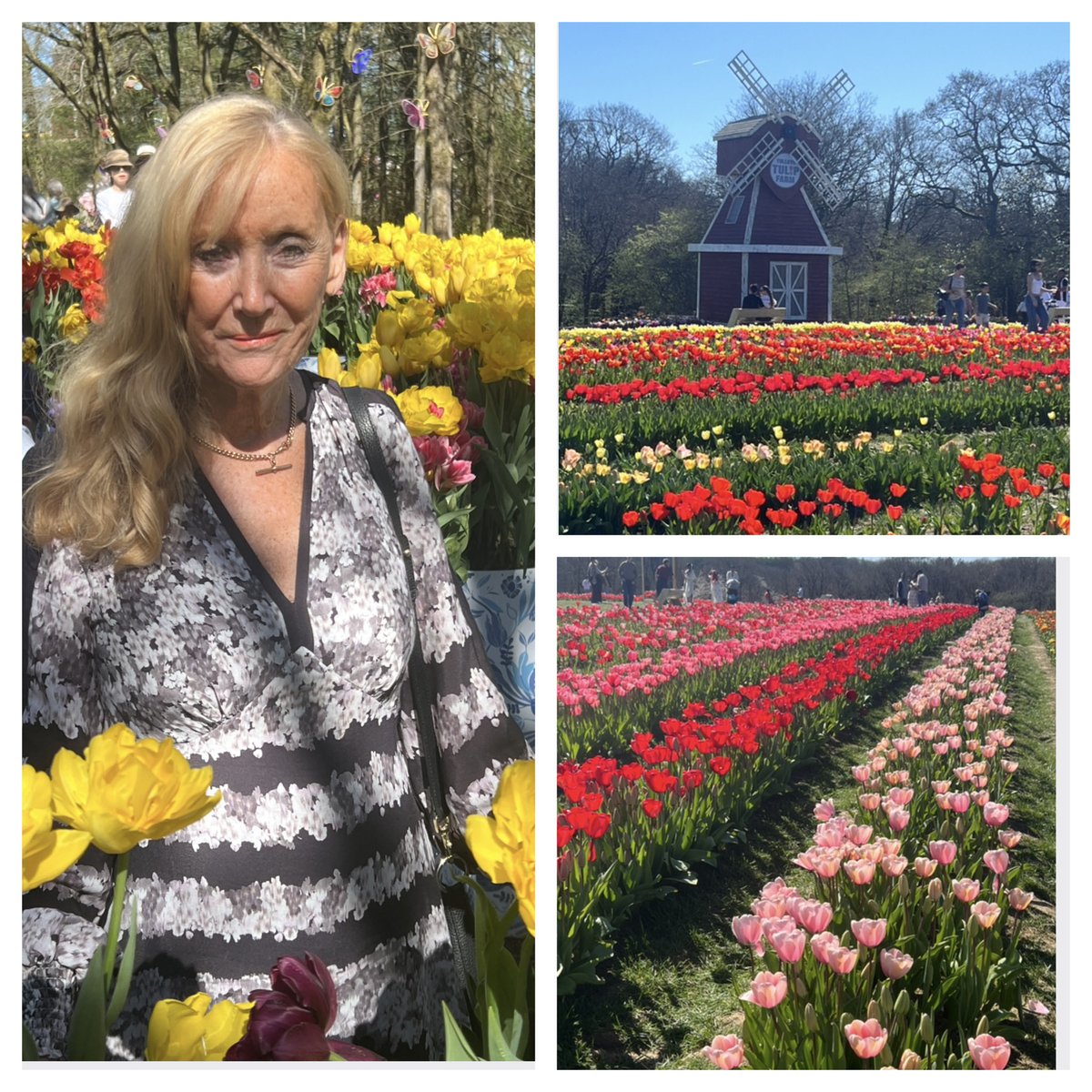 Jean Haines SWA tweet media