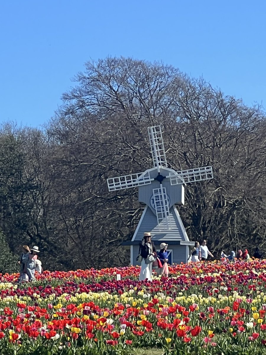 Jean Haines SWA tweet media