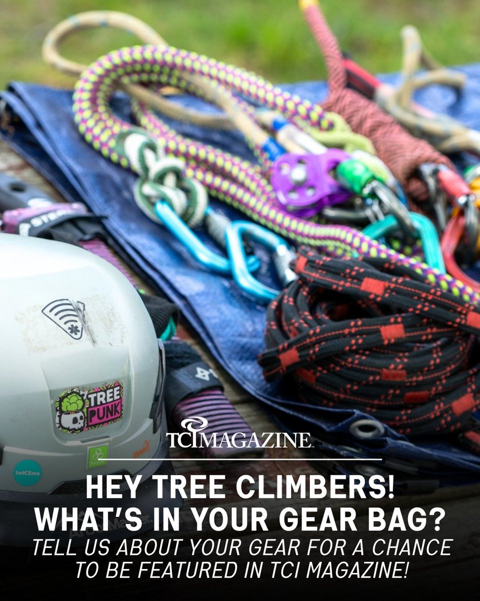 WeAreTCIA's tweet image. TCI Magazine is putting the spotlight on climbers in our upcoming “What’s in Your Gear Bag” feature in our summer Climbing and Rigging edition!

Share your favorite items in your gear bag and stories with us for a chance to be featured - hubs.li/Q049TWCd0

#TCIA #TreeCare