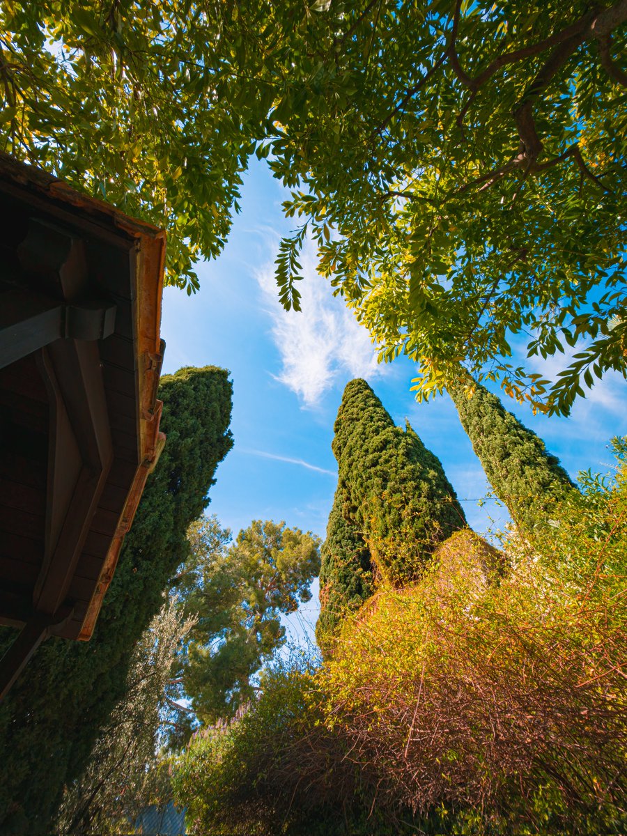 GiglioMattia's tweet image. 24mp mode expertraw and virtual aperture 

Samsung Galaxy S26 Ultra Edited In Lightroom #ShotOnSnapdragon #withGalaxy