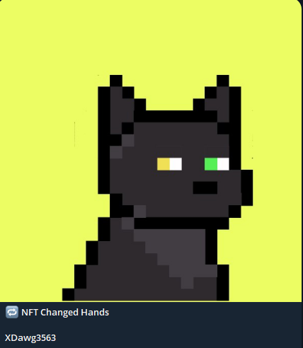 🐾 Black Market Dawgs 🐾 tweet media