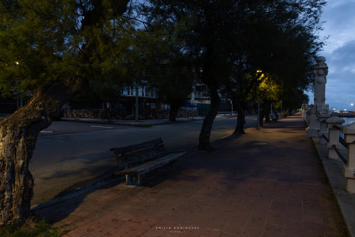 Emilia Domínguez tweet media