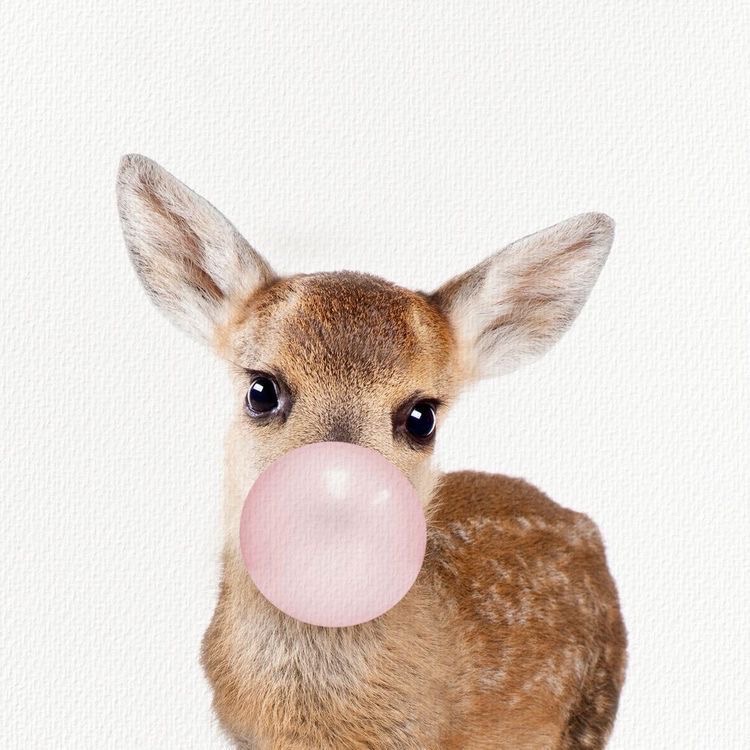 clara ♡ tweet media