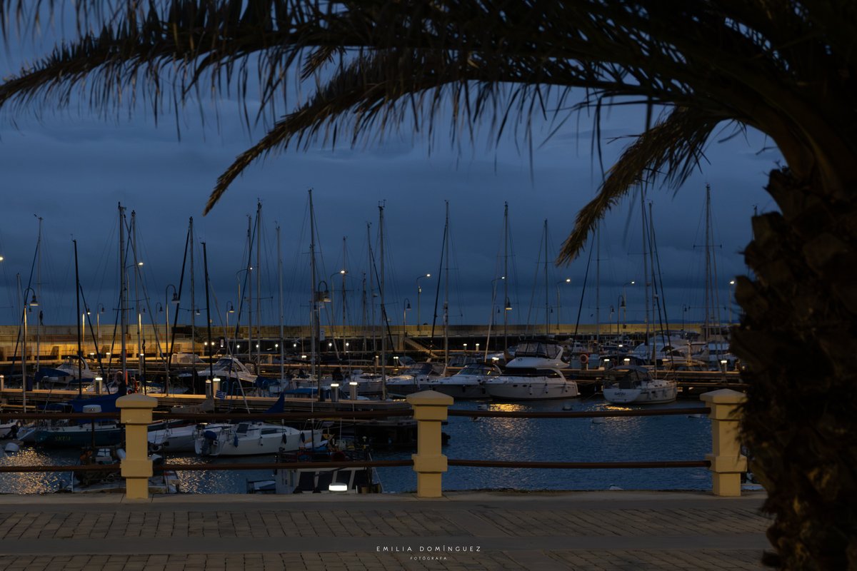 Emilia Domínguez tweet media