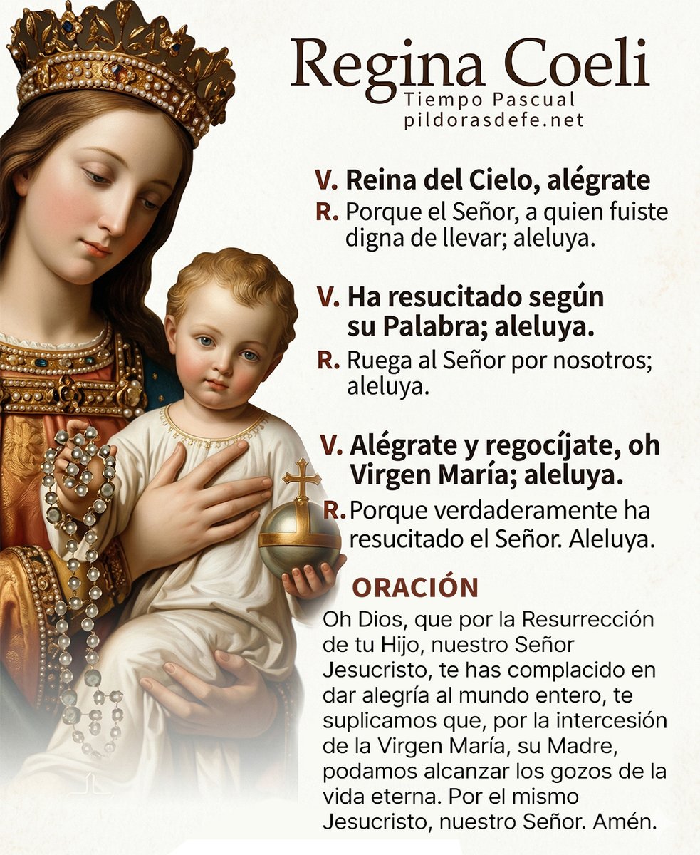 Pildorasdefe's tweet photo. Regina Coeli
- Reina del Cielo

María, Madre de Dios, ruega por nosotros https://t.co/4SYaChCMTz