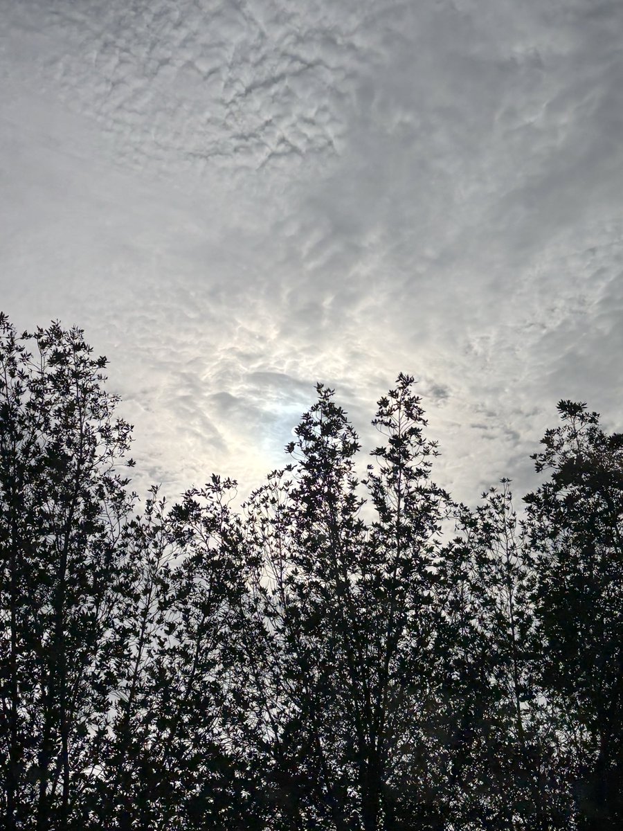 رغــد tweet media