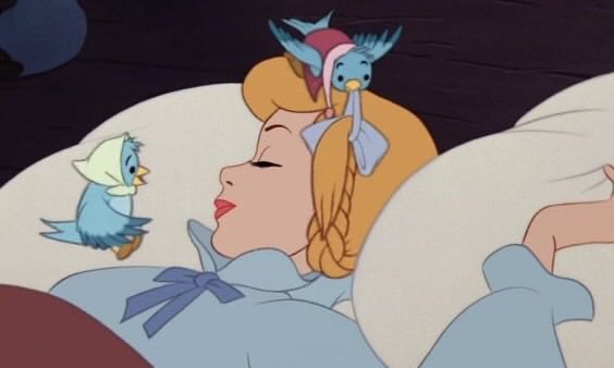 Mamello🧚🏽‍♀️ tweet media