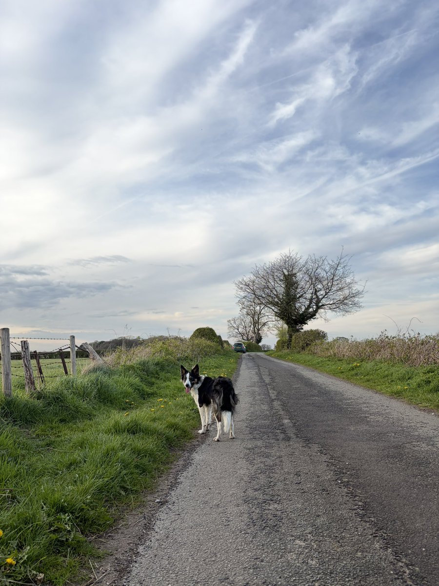 ☠️ Matt 👾 tweet media