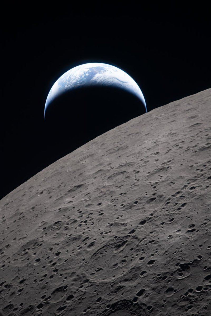 Steven Cercamondi tweet media