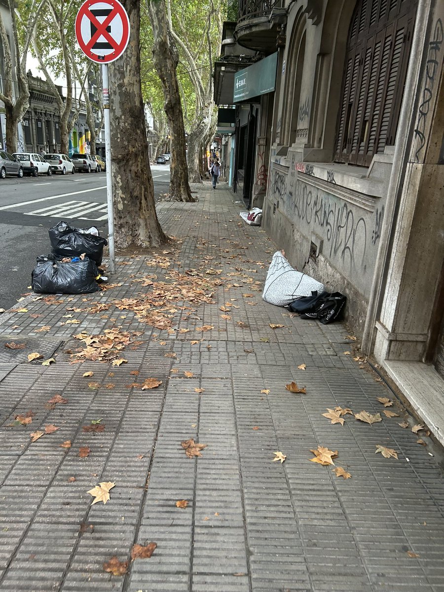 Sofía🇺🇾🦋 tweet media