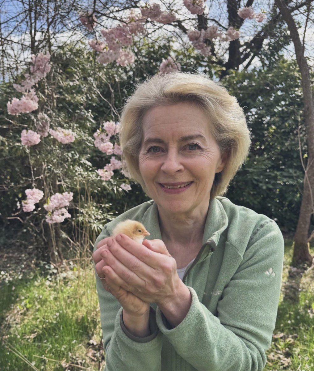 <a href="/Furilyz/">Furtily</a> How Eurocrats see themselves