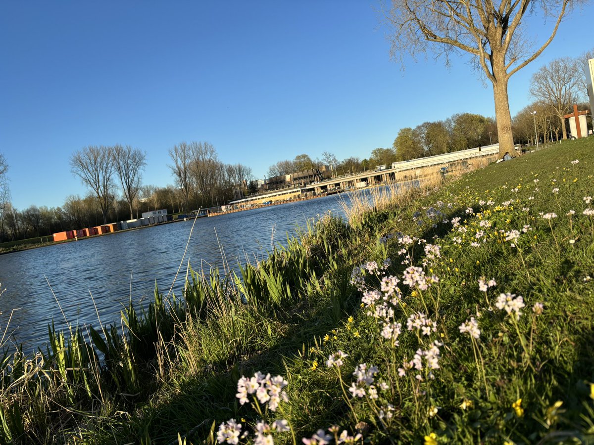 56歳乗り鉄、英語力0でオランダへ転勤?ドタバタ海外生活! tweet media