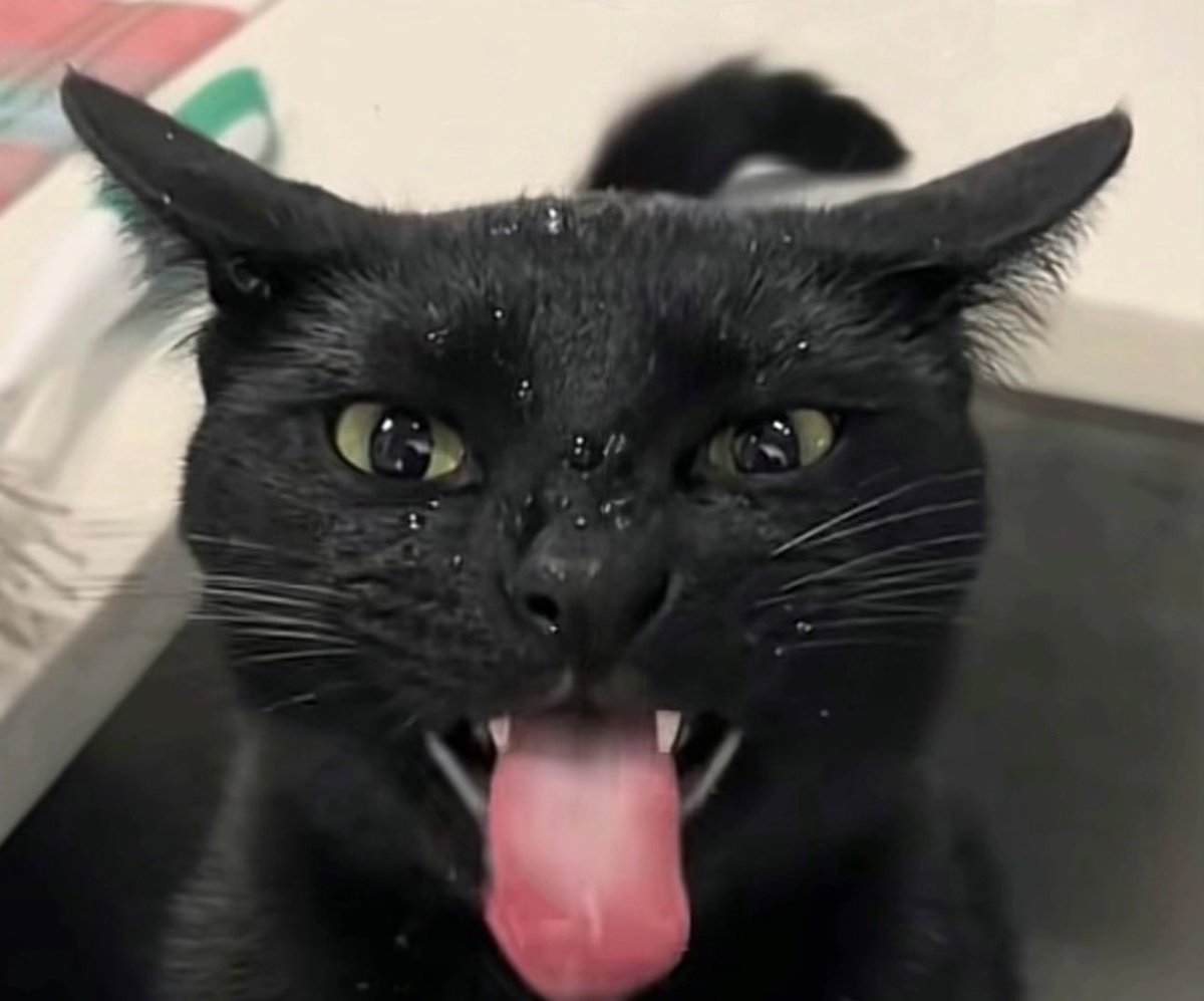 YungDagger tweet media