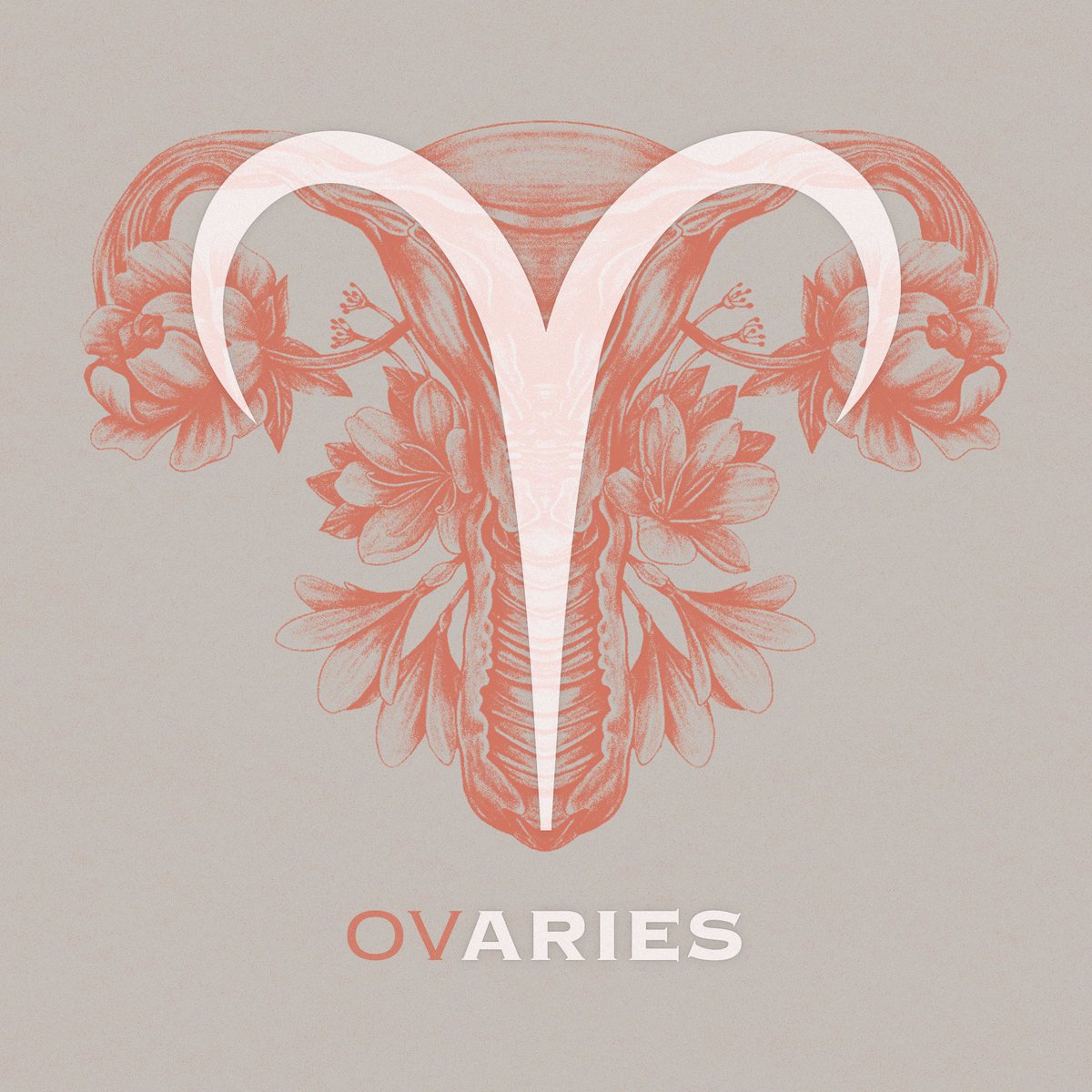 Symbolic Studies tweet media